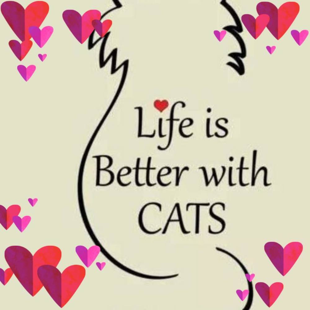 Meet your Posher, Janice